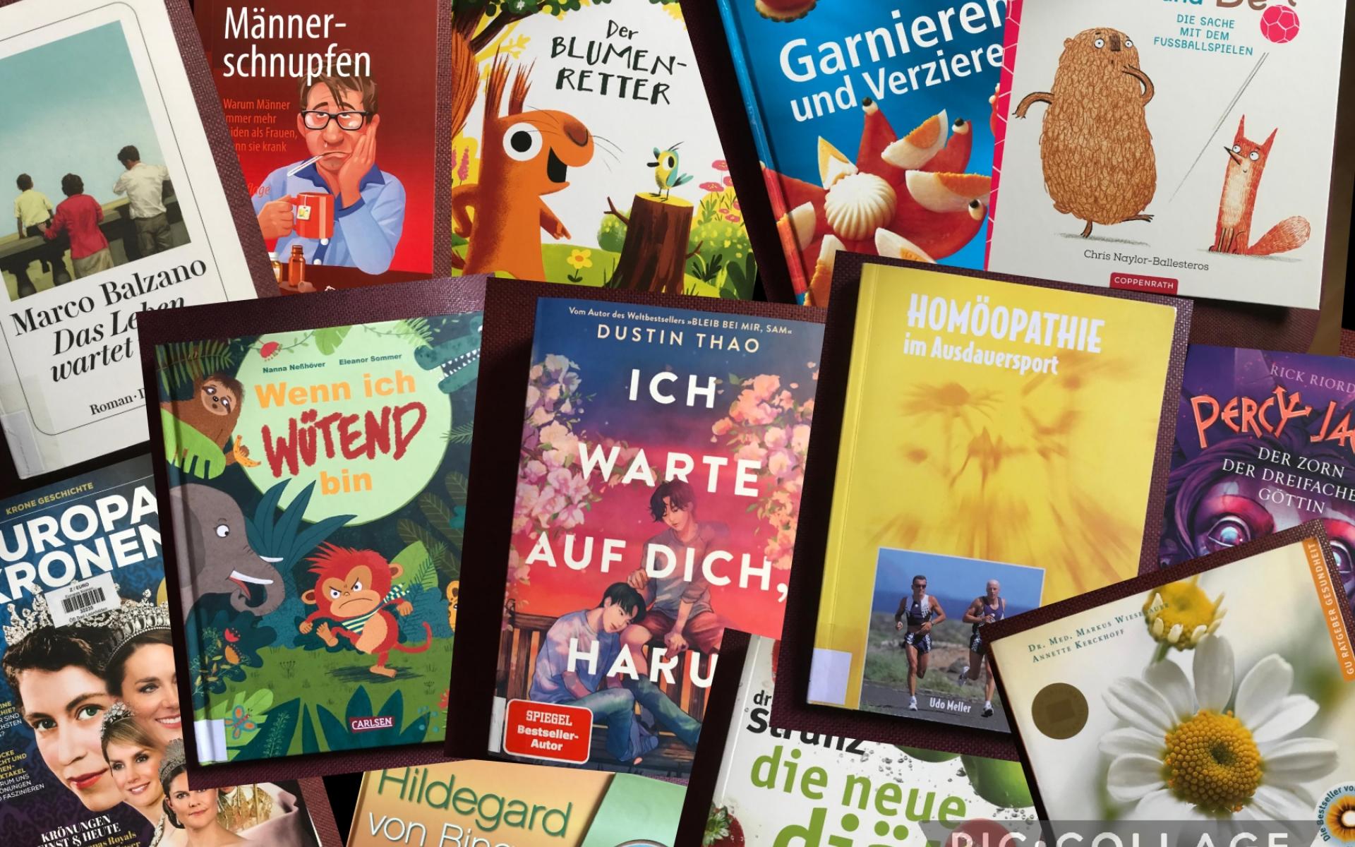 neue Bücher Juni 2025