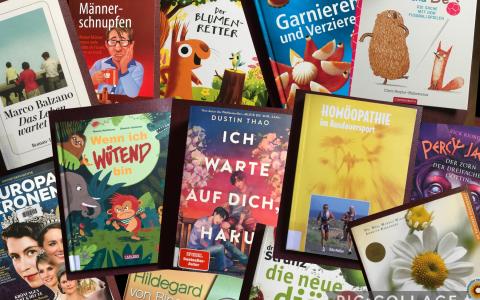 neue Bücher Juni 2025